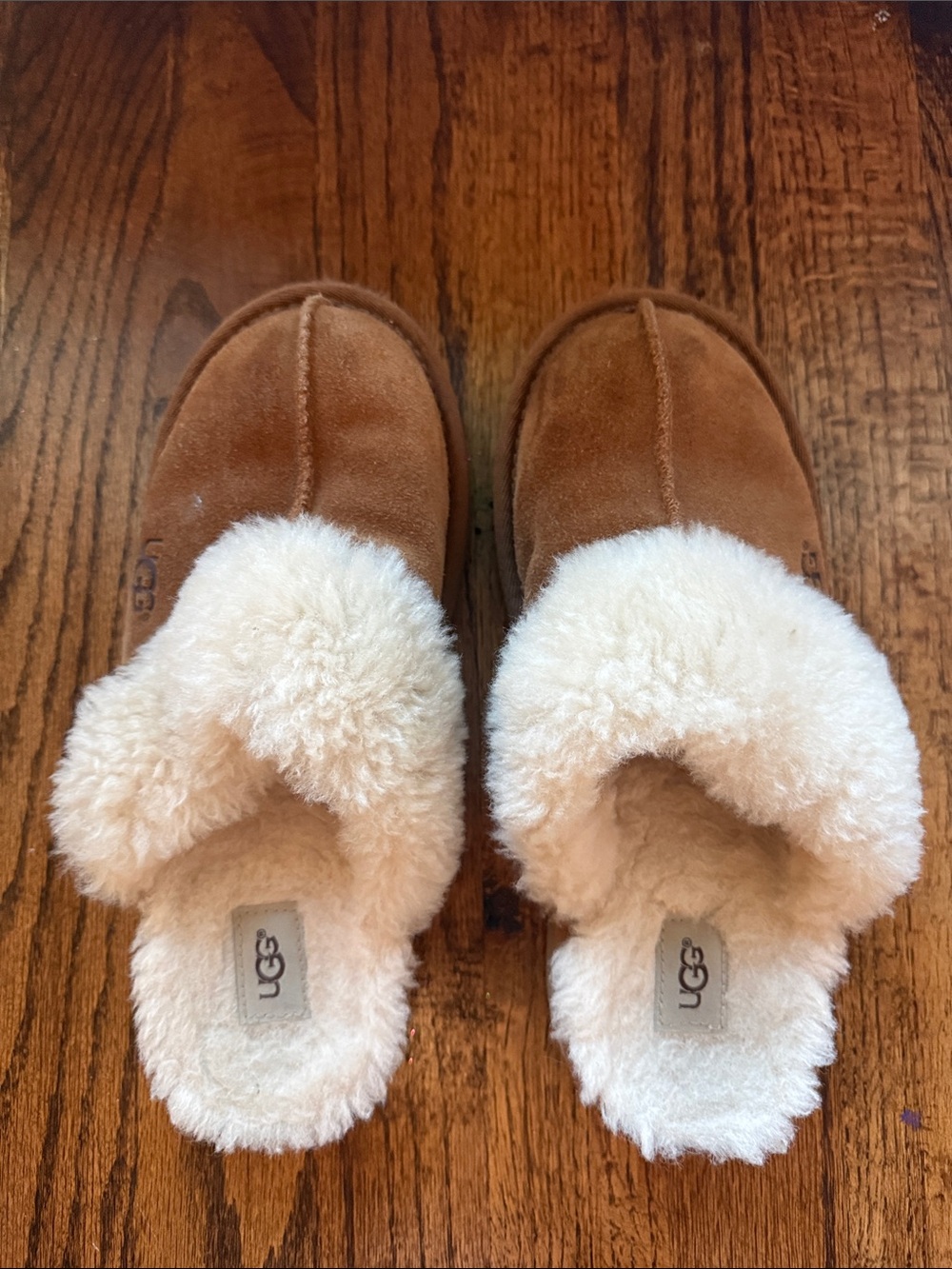 UGG Chestnut Suede Sheepskin Clog Slippers with Cream Lining